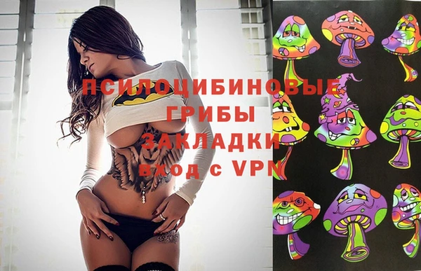 сатива Алзамай