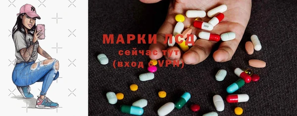 сатива Алзамай