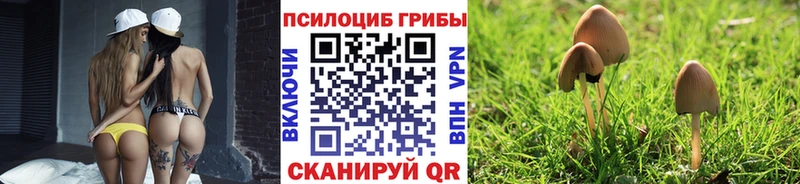 Галлюциногенные грибы Magic Shrooms Нижняя Салда